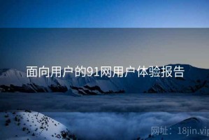 面向用户的91网用户体验报告