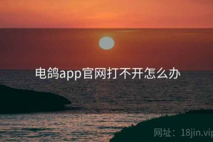 电鸽app官网打不开怎么办