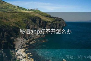 秘语app打不开怎么办