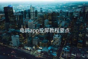 电鸽app投屏教程要点