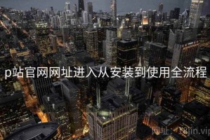p站官网网址进入从安装到使用全流程