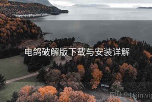 电鸽破解版下载与安装详解