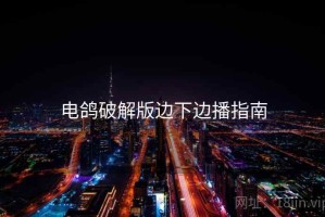 电鸽破解版边下边播指南