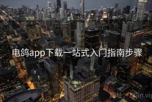 电鸽app下载一站式入门指南步骤