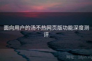面向用户的汤不热网页版功能深度测评