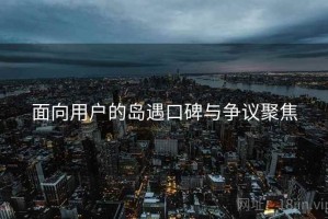 面向用户的岛遇口碑与争议聚焦