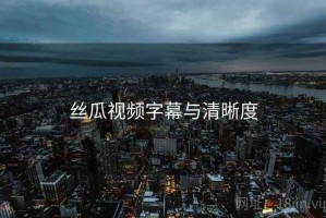 丝瓜视频字幕与清晰度