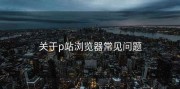 关于p站浏览器常见问题