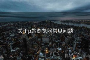 关于p站浏览器常见问题