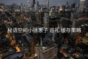 秘语空间小徐崽子 巡礼 缓存策略