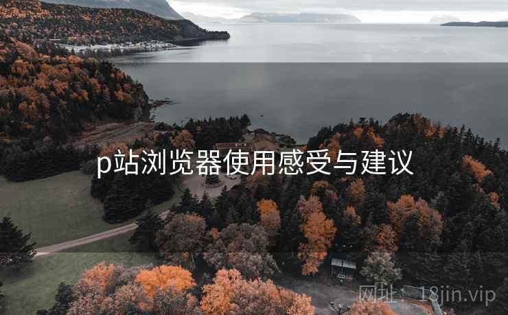 p站浏览器使用感受与建议 p站浏览器使用感受与建议