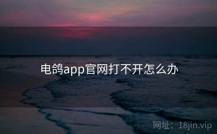 电鸽app官网打不开怎么办 电鸽app官网打不开怎么办