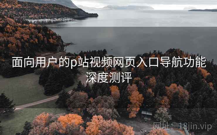 面向用户的p站视频网页入口导航功能深度测评 面向用户的p站视频网页入口导航功能深度测评
